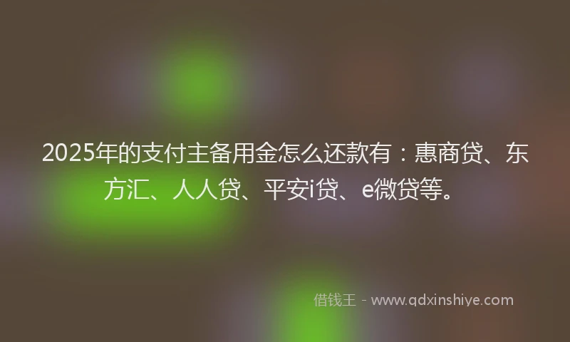 2025年的支付主备用金怎么还款有：惠商贷、东方汇、人人贷、平安i贷、e微贷等。