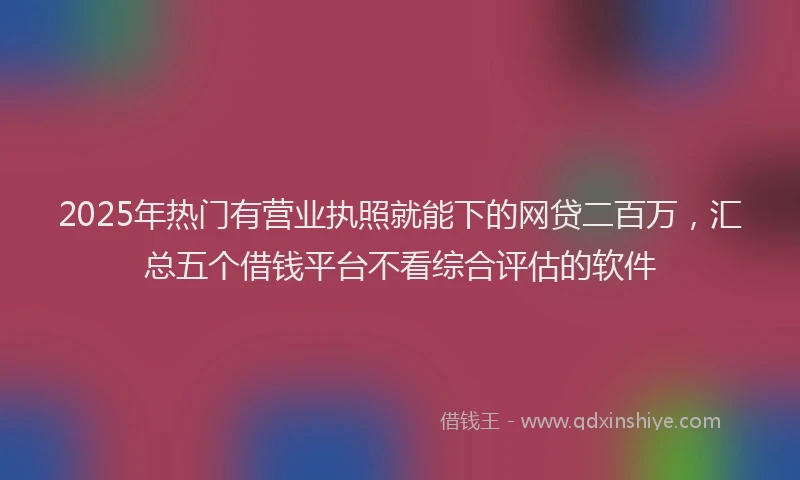 2025年热门有营业执照就能下的网贷二百万，汇总五个借钱平台不看综合评估的软件