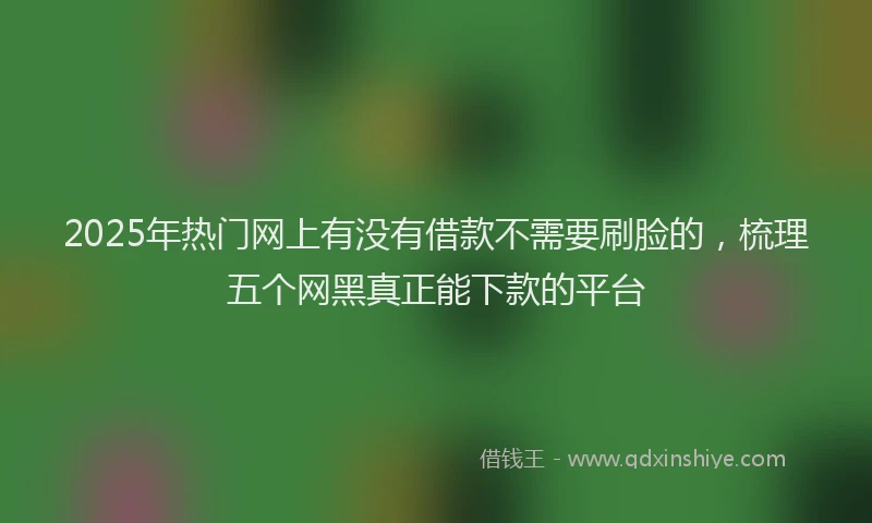 2025年热门网上有没有借款不需要刷脸的，梳理五个网黑真正能下款的平台