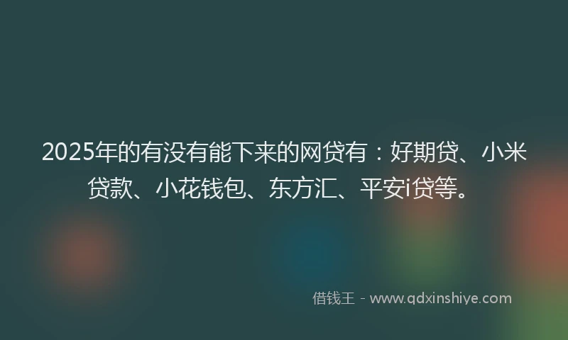 2025年的有没有能下来的网贷有：好期贷、小米贷款、小花钱包、东方汇、平安i贷等。