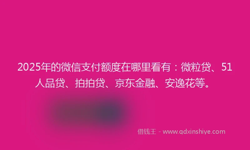 2025年的微信支付额度在哪里看有：微粒贷、51人品贷、拍拍贷、京东金融、安逸花等。