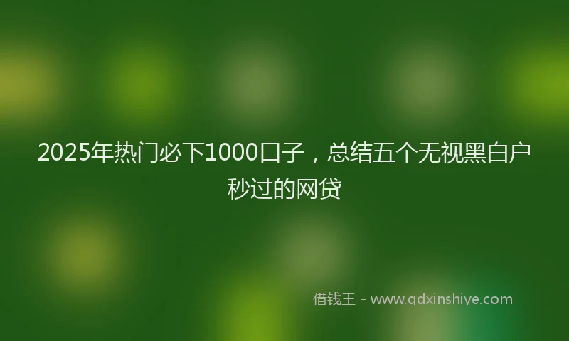 2025年热门必下1000口子，总结五个无视黑白户秒过的网贷