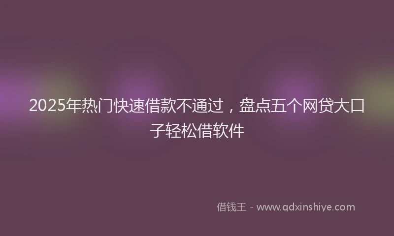 2025年热门快速借款不通过，盘点五个网贷大口子轻松借软件
