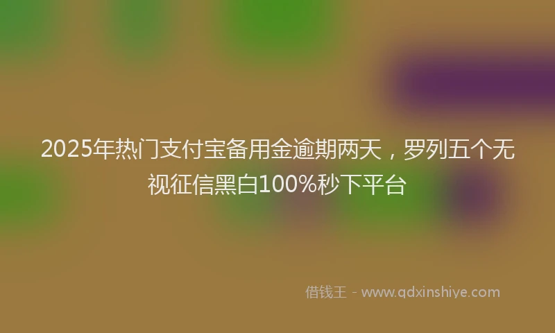 2025年热门支付宝备用金逾期两天，罗列五个无视征信黑白100%秒下平台