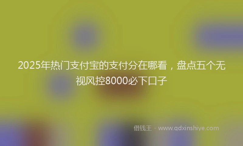 2025年热门支付宝的支付分在哪看，盘点五个无视风控8000必下口子