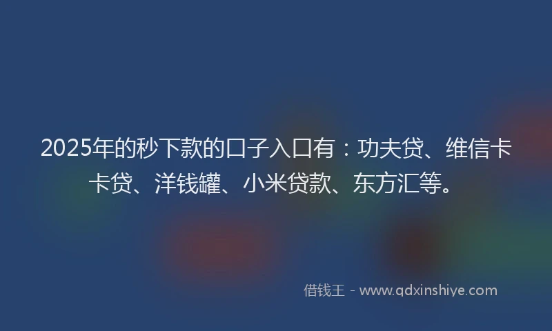 2025年的秒下款的口子入口有：功夫贷、维信卡卡贷、洋钱罐、小米贷款、东方汇等。