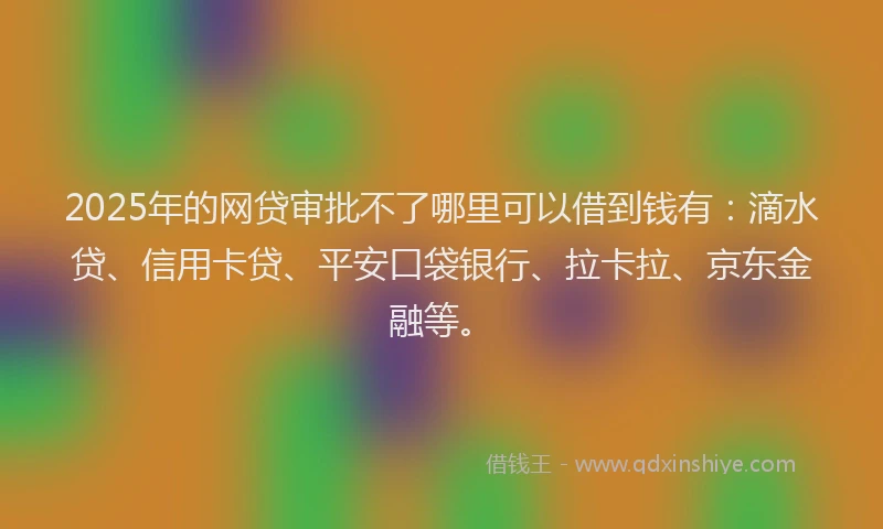 2025年的网贷审批不了哪里可以借到钱有：滴水贷、信用卡贷、平安口袋银行、拉卡拉、京东金融等。