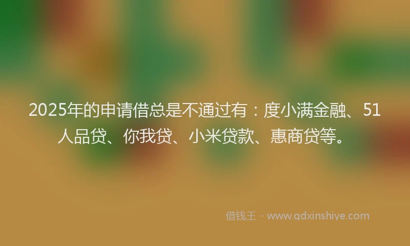 2025年的申请借总是不通过有：度小满金融、51人品贷、你我贷、小米贷款、惠商贷等。