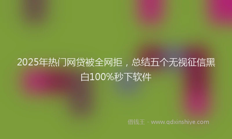 2025年热门网贷被全网拒，总结五个无视征信黑白100%秒下软件