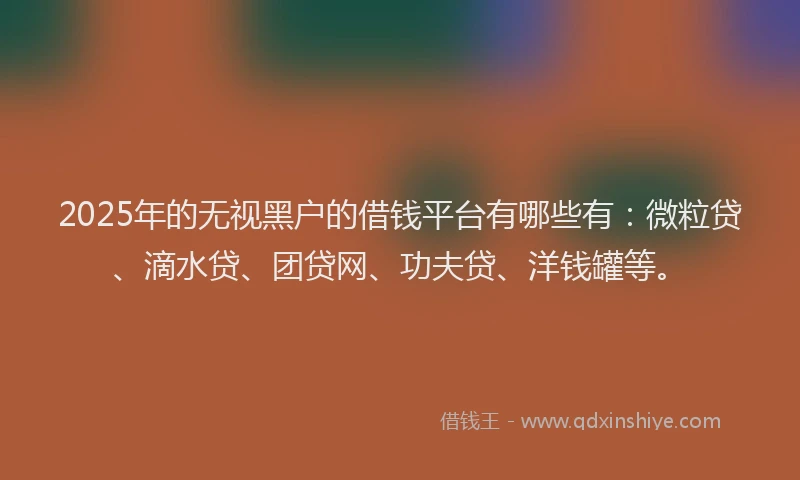 2025年的无视黑户的借钱平台有哪些有：微粒贷、滴水贷、团贷网、功夫贷、洋钱罐等。