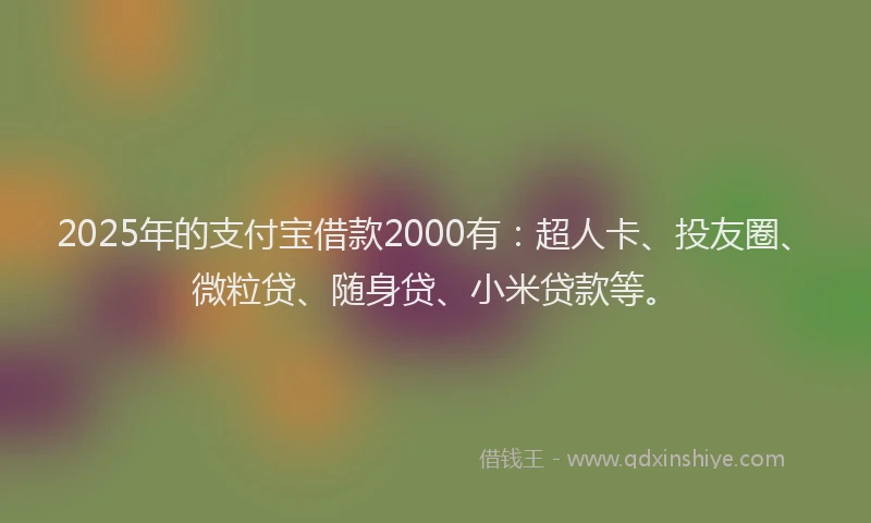 2025年的支付宝借款2000有：超人卡、投友圈、微粒贷、随身贷、小米贷款等。