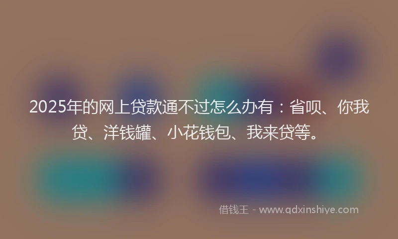 2025年的网上贷款通不过怎么办有：省呗、你我贷、洋钱罐、小花钱包、我来贷等。