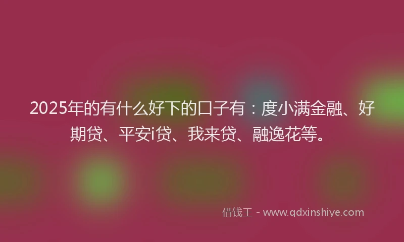 2025年的有什么好下的口子有：度小满金融、好期贷、平安i贷、我来贷、融逸花等。