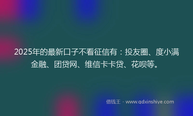 2025年的最新口子不看征信有：投友圈、度小满金融、团贷网、维信卡卡贷、花呗等。