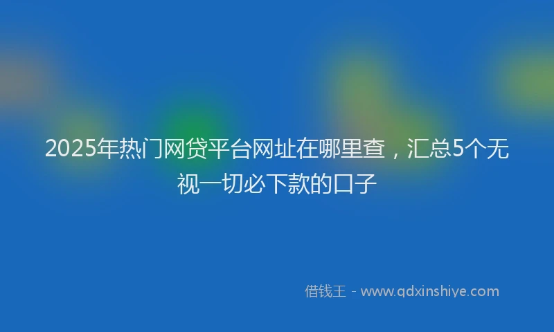 2025年热门网贷平台网址在哪里查，汇总5个无视一切必下款的口子