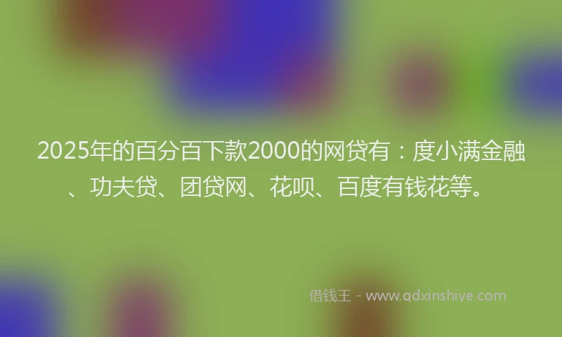 2025年的百分百下款2000的网贷有：度小满金融、功夫贷、团贷网、花呗、百度有钱花等。
