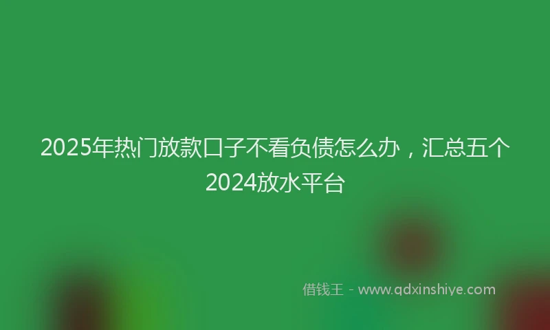 2025年热门放款口子不看负债怎么办，汇总五个2024放水平台