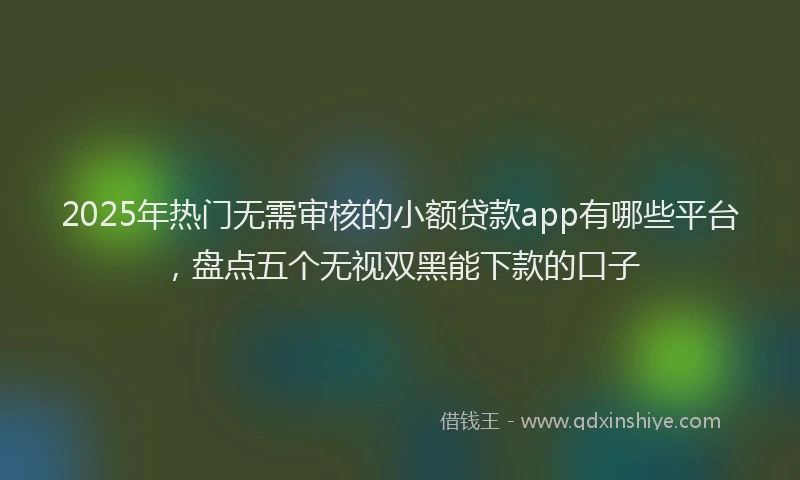 2025年热门无需审核的小额贷款app有哪些平台，盘点五个无视双黑能下款的口子