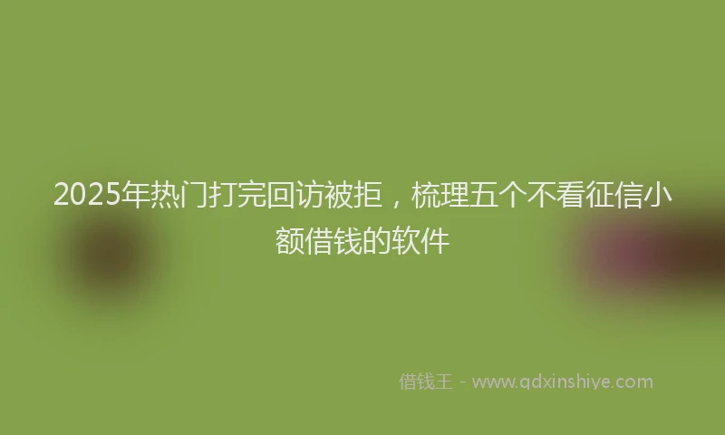 2025年热门打完回访被拒，梳理五个不看征信小额借钱的软件