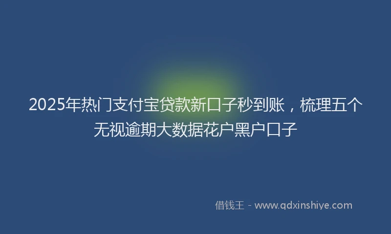 2025年热门支付宝贷款新口子秒到账，梳理五个无视逾期大数据花户黑户口子