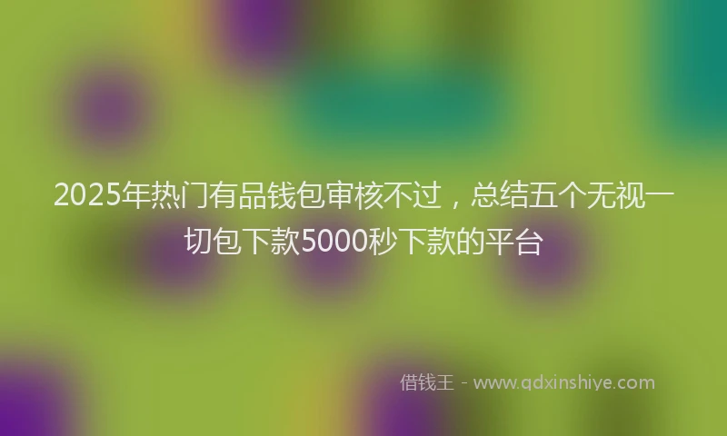 2025年热门有品钱包审核不过，总结五个无视一切包下款5000秒下款的平台
