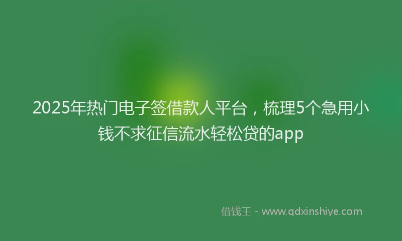 2025年热门电子签借款人平台，梳理5个急用小钱不求征信流水轻松贷的app
