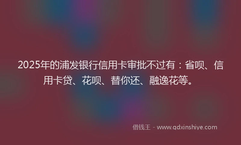 2025年的浦发银行信用卡审批不过有：省呗、信用卡贷、花呗、替你还、融逸花等。