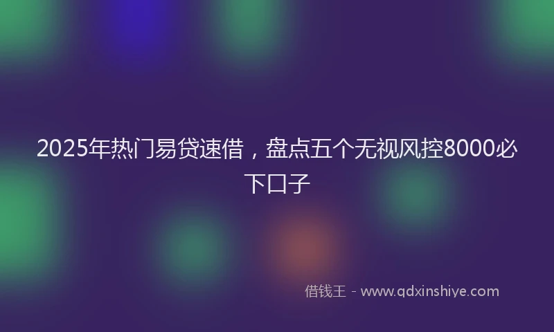 2025年热门易贷速借，盘点五个无视风控8000必下口子