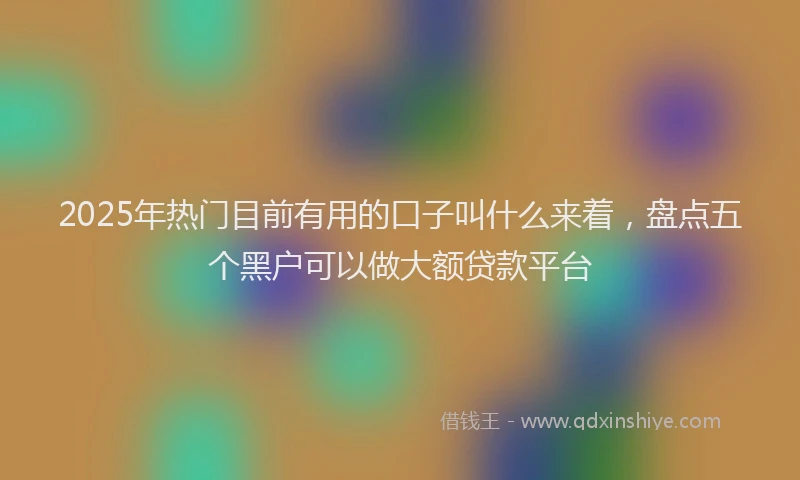 2025年热门目前有用的口子叫什么来着，盘点五个黑户可以做大额贷款平台
