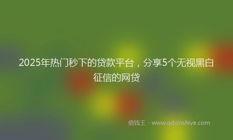 2025年热门秒下的贷款平台，分享5个无视黑白征信的网贷
