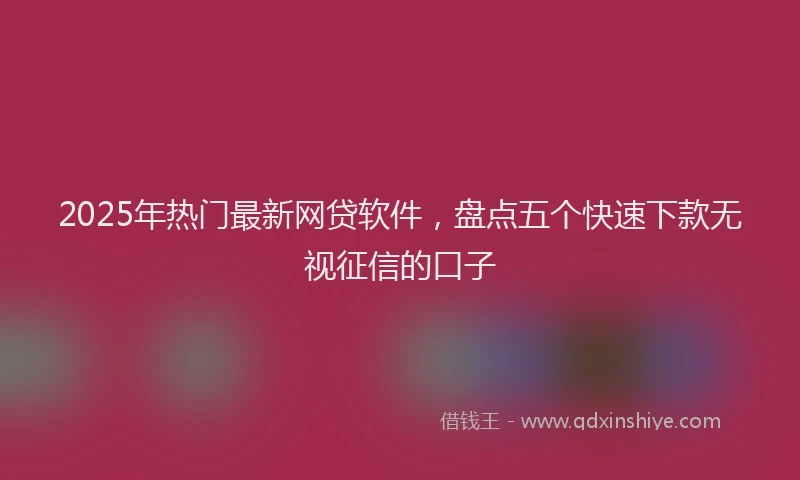 2025年热门最新网贷软件，盘点五个快速下款无视征信的口子