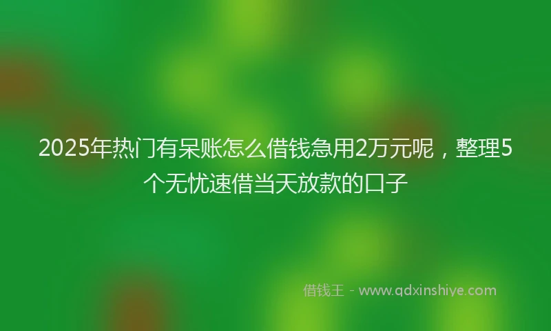 2025年热门有呆账怎么借钱急用2万元呢，整理5个无忧速借当天放款的口子