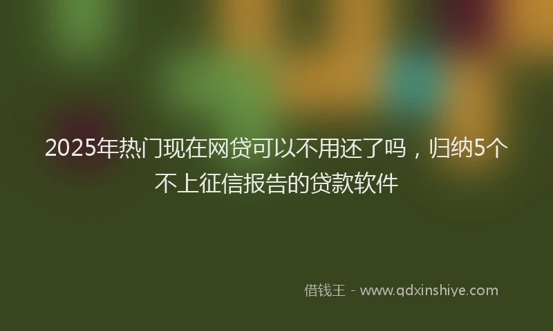 2025年热门现在网贷可以不用还了吗，归纳5个不上征信报告的贷款软件