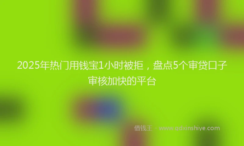 2025年热门用钱宝1小时被拒，盘点5个审贷口子审核加快的平台