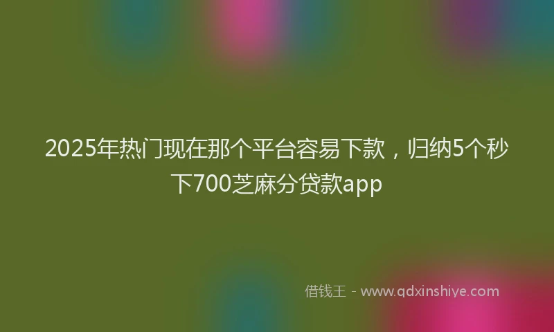2025年热门现在那个平台容易下款，归纳5个秒下700芝麻分贷款app