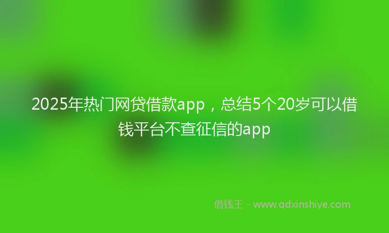 2025年热门网贷借款app，总结5个20岁可以借钱平台不查征信的app
