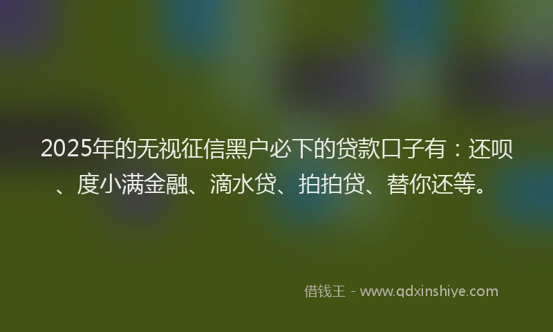 2025年的无视征信黑户必下的贷款口子有：还呗、度小满金融、滴水贷、拍拍贷、替你还等。