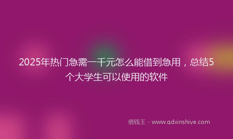 2025年热门急需一千元怎么能借到急用，总结5个大学生可以使用的软件