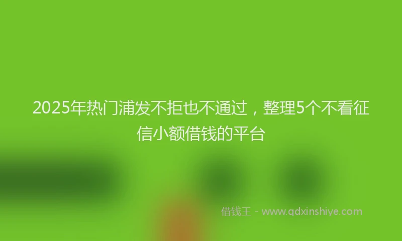 2025年热门浦发不拒也不通过，整理5个不看征信小额借钱的平台