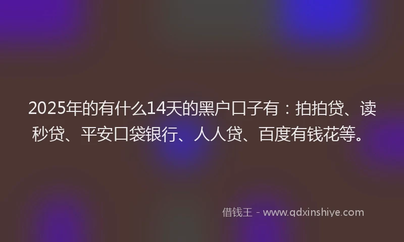 2025年的有什么14天的黑户口子有：拍拍贷、读秒贷、平安口袋银行、人人贷、百度有钱花等。