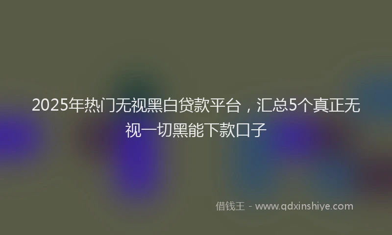 2025年热门无视黑白贷款平台，汇总5个真正无视一切黑能下款口子