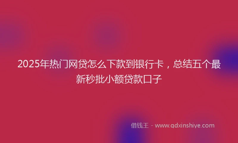 2025年热门网贷怎么下款到银行卡，总结五个最新秒批小额贷款口子