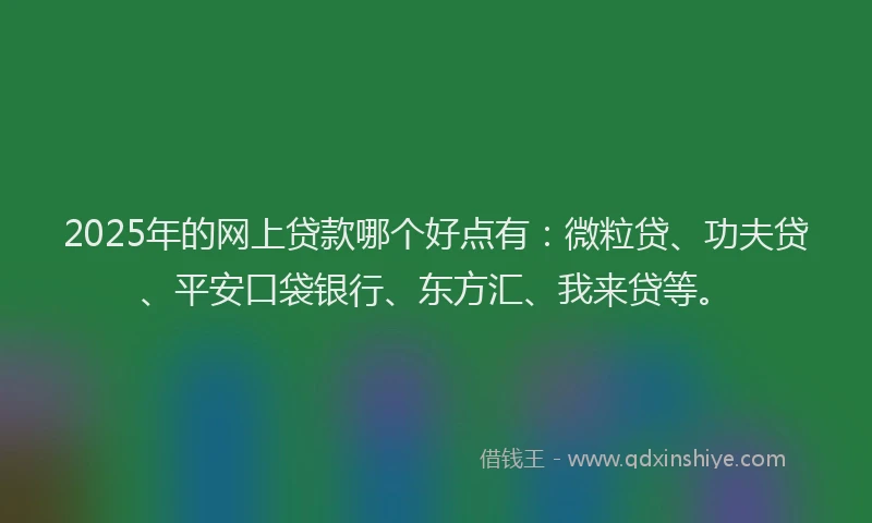 2025年的网上贷款哪个好点有：微粒贷、功夫贷、平安口袋银行、东方汇、我来贷等。