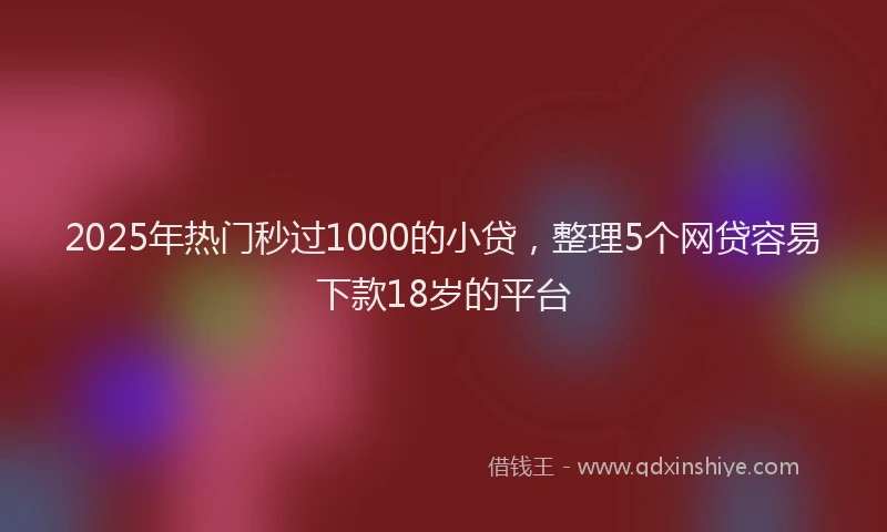 2025年热门秒过1000的小贷，整理5个网贷容易下款18岁的平台
