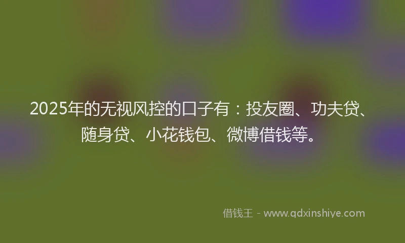 2025年的无视风控的口子有：投友圈、功夫贷、随身贷、小花钱包、微博借钱等。