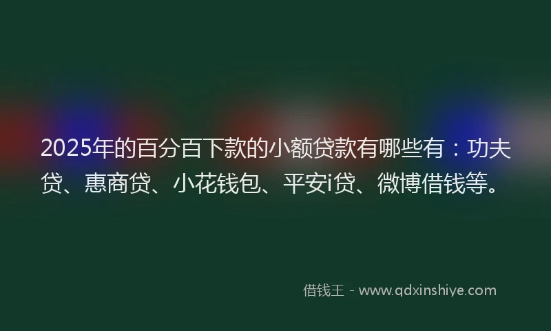 2025年的百分百下款的小额贷款有哪些有：功夫贷、惠商贷、小花钱包、平安i贷、微博借钱等。