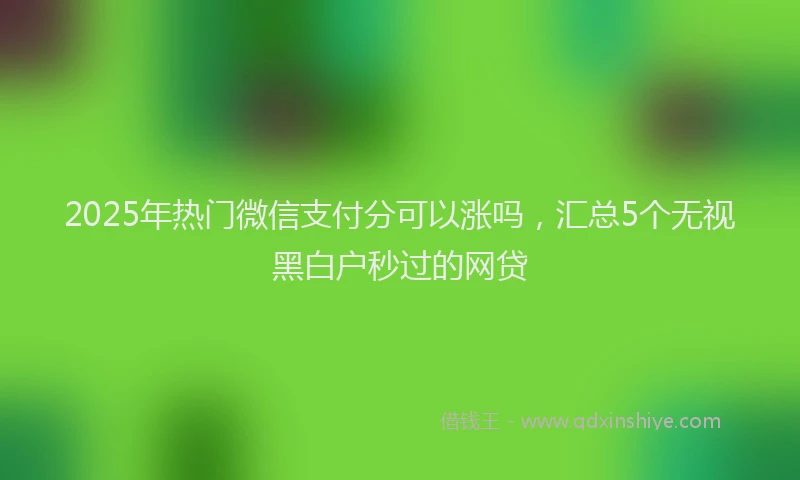 2025年热门微信支付分可以涨吗，汇总5个无视黑白户秒过的网贷
