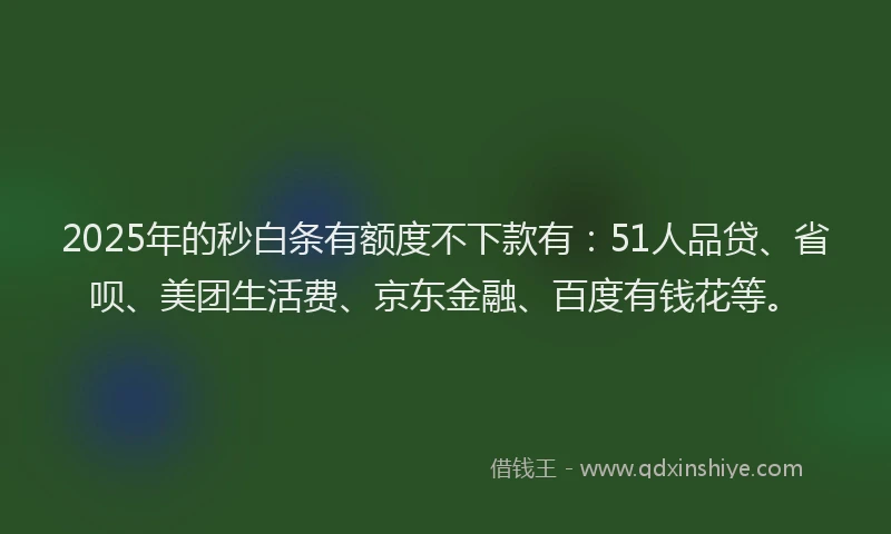 2025年的秒白条有额度不下款有：51人品贷、省呗、美团生活费、京东金融、百度有钱花等。