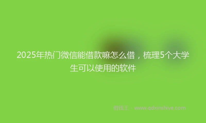 2025年热门微信能借款嘛怎么借，梳理5个大学生可以使用的软件