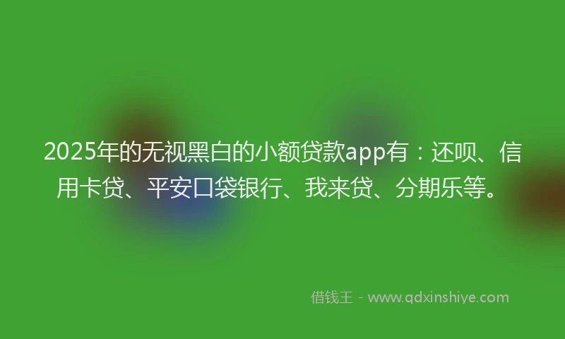 2025年的无视黑白的小额贷款app有：还呗、信用卡贷、平安口袋银行、我来贷、分期乐等。